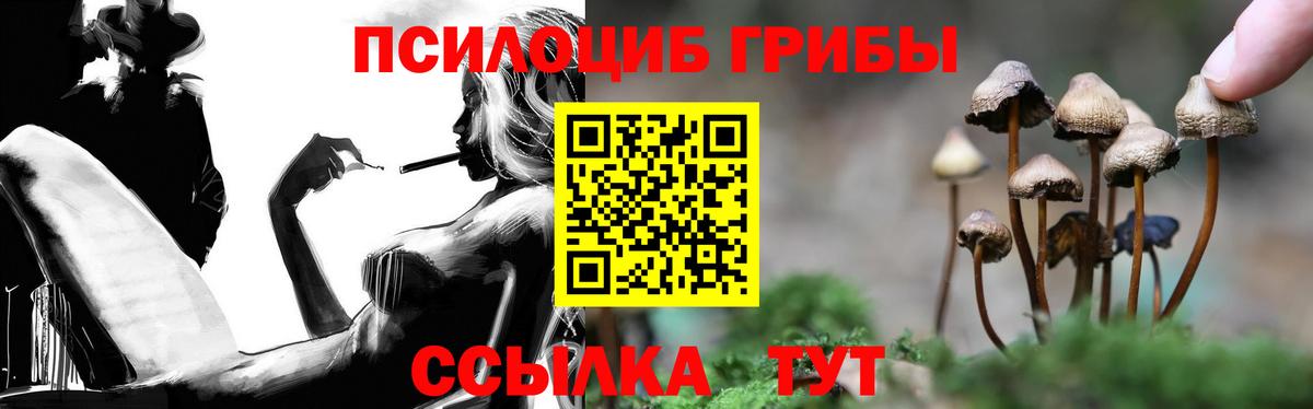 Псилоцибиновые грибы Psilocybine cubensis  Вход с VPN  Елец 